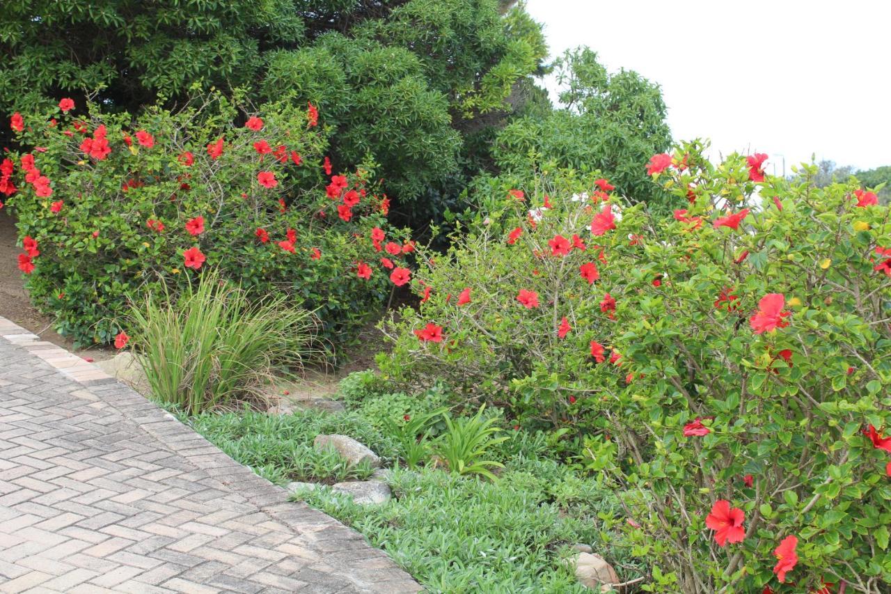 Beach Break B&B Port Alfred Exterior foto